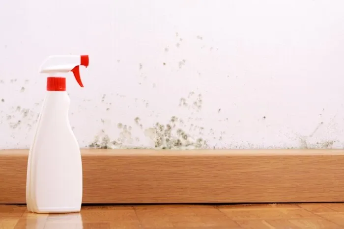 A spray bottle in front of a moldy wall